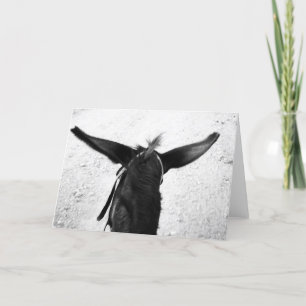 donkey card