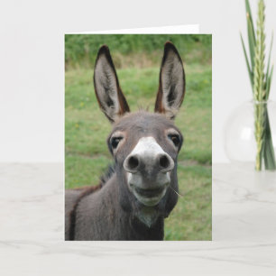 Donkey Card