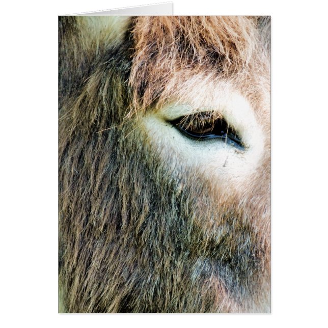 DONKEY CARD (Front)
