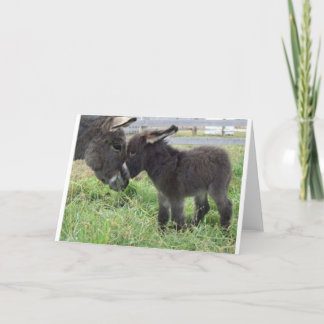 donkey card