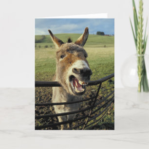 Donkey Card