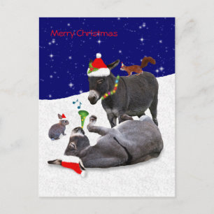 Donkey Daze Postcard