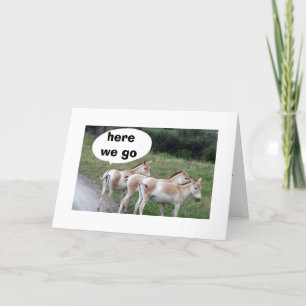 DONKEY DON'T WISH TO BE LATE FOR YOUR BIRTHDAY CARD
