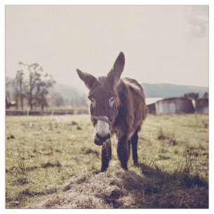 Donkey feed fabric