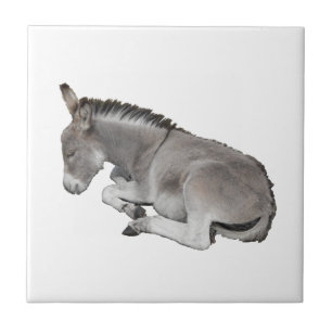 Donkey Foal Ceramic Tile