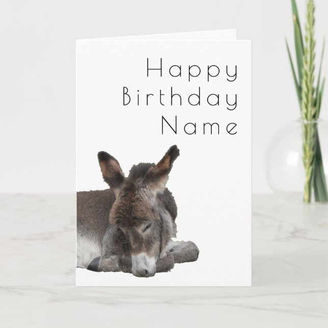 Donkey Foal Deco Birthday Card (Front)