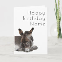 Donkey Foal Deco Birthday