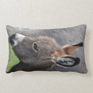 Donkey foal portrait vertical lumbar cushion