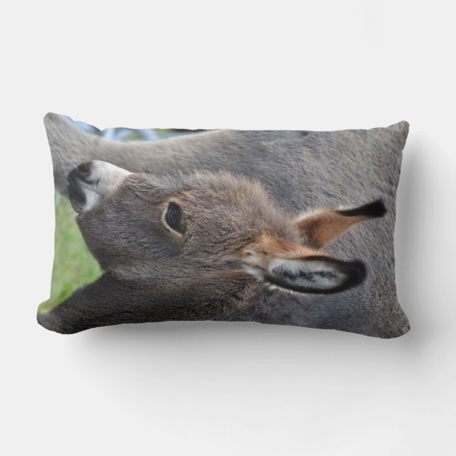 Donkey foal portrait vertical lumbar cushion (Front)