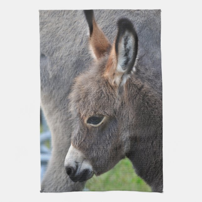 Donkey foal tea towel (Vertical)