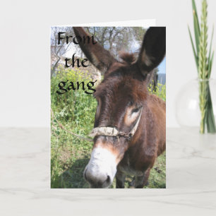 DONKEY GROUP BIRTHDAY WISHES CARD