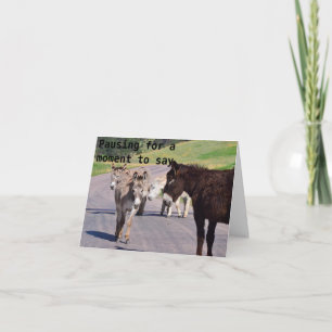 DONKEY GROUP JUST SAYS....***HAPPY BIRTHDAY*** CARD