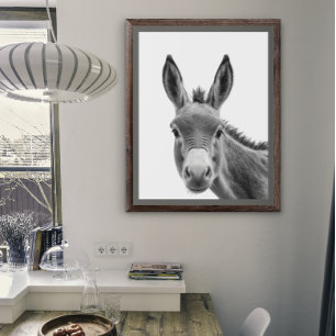 Donkey Head Portrait  Black white     Poster