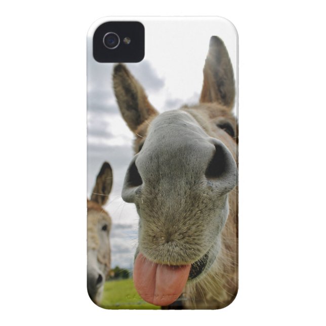 Donkey Humor Case-Mate iPhone Case (Back)