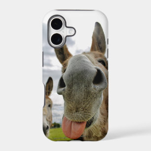Donkey Humour