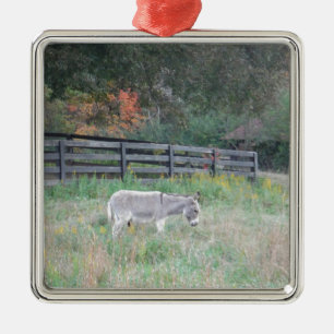 Donkey in a Fall Autumn Field. Metal Ornament