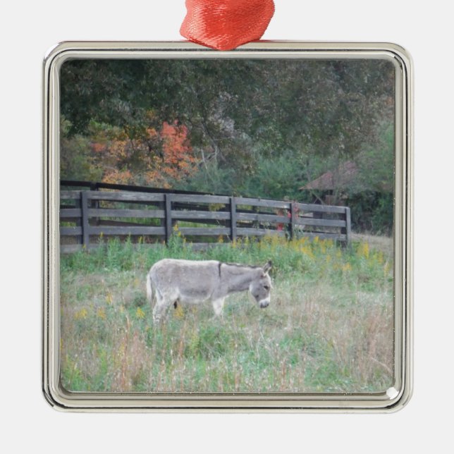 Donkey in a Fall Autumn Field. Metal Ornament (Front)