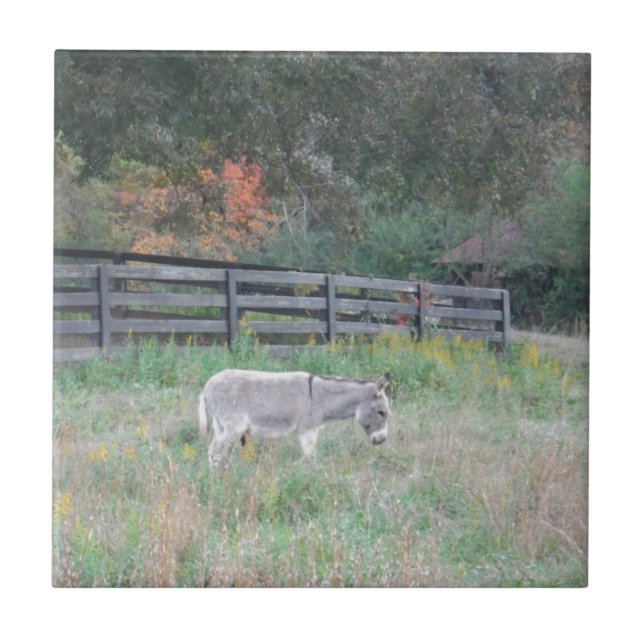 Donkey in a Fall Autumn Field. Tile (Front)