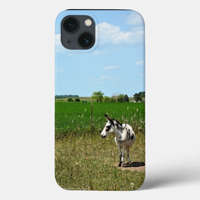 Donkey in a Field Case-Mate iPhone Case (Back)