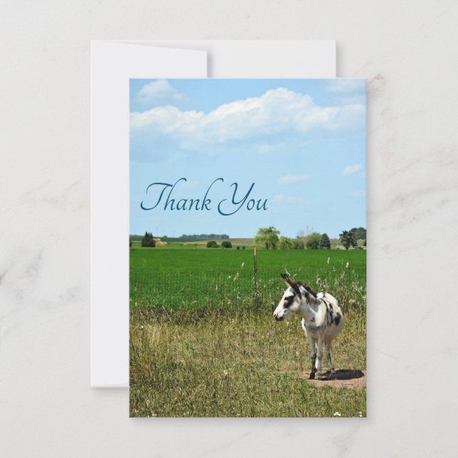Donkey in a Field Thank You Card (Front)