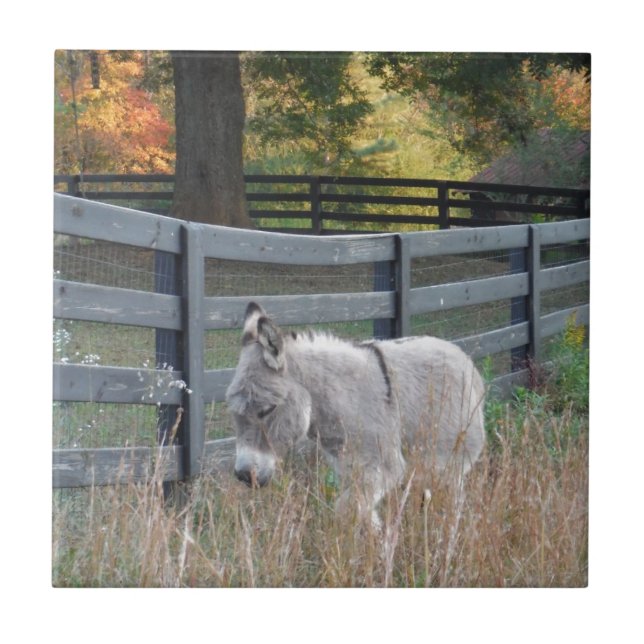 Donkey in an Autumn Field Ceramic Tile (Front)