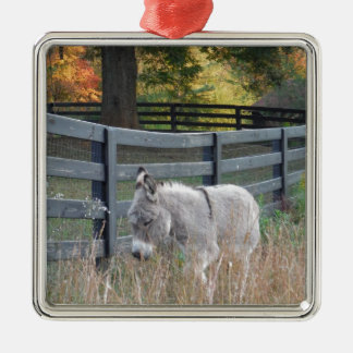 Donkey in an Autumn Field Metal Ornament