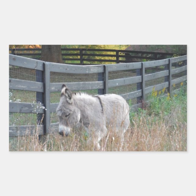 Donkey in an Autumn Field Rectangular Sticker (Front)