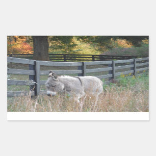 Donkey in an Autumn Field Rectangular Sticker