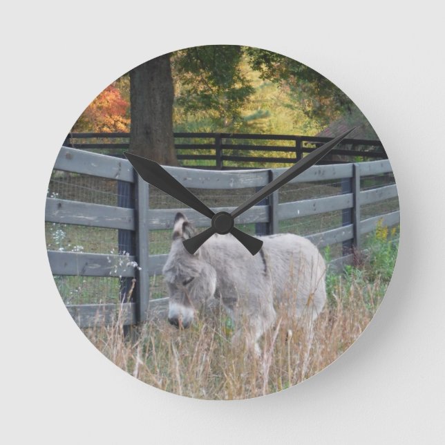 Donkey in an Autumn Field Round Clock (Front)