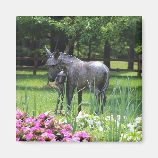 Donkey in Garden magnet (Front)