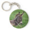 Donkey In The Grass