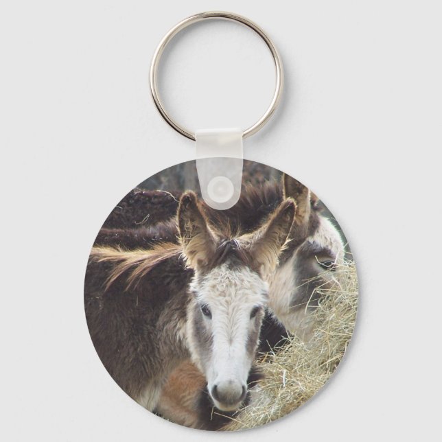 donkey key ring (Front)