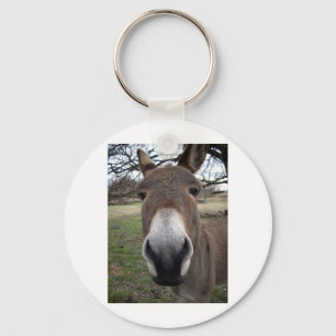 DONKEY KEY RING