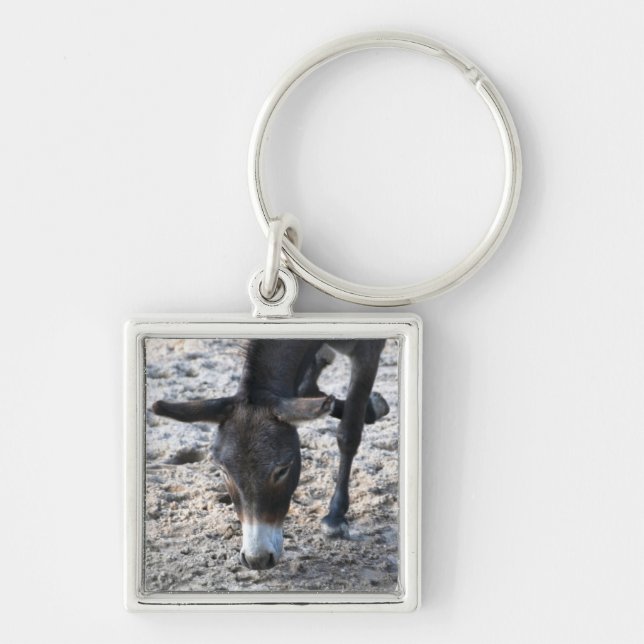 Donkey Key Ring (Front)