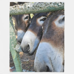Donkey Love Fleece Blanket, Large 60" x 80" Blanket