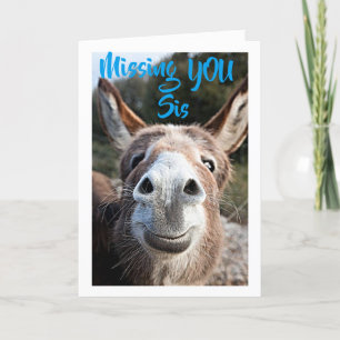 DONKEY MISSES ***SIS*** NOT VERY HAPPY ABOUT THAT CARD