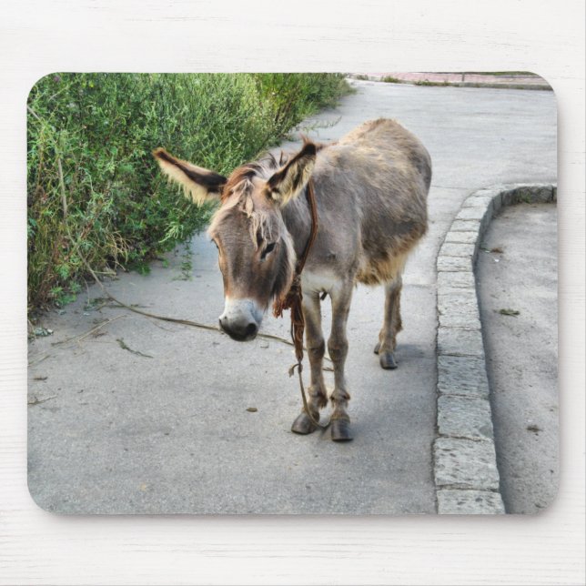 Donkey mousepad (Front)