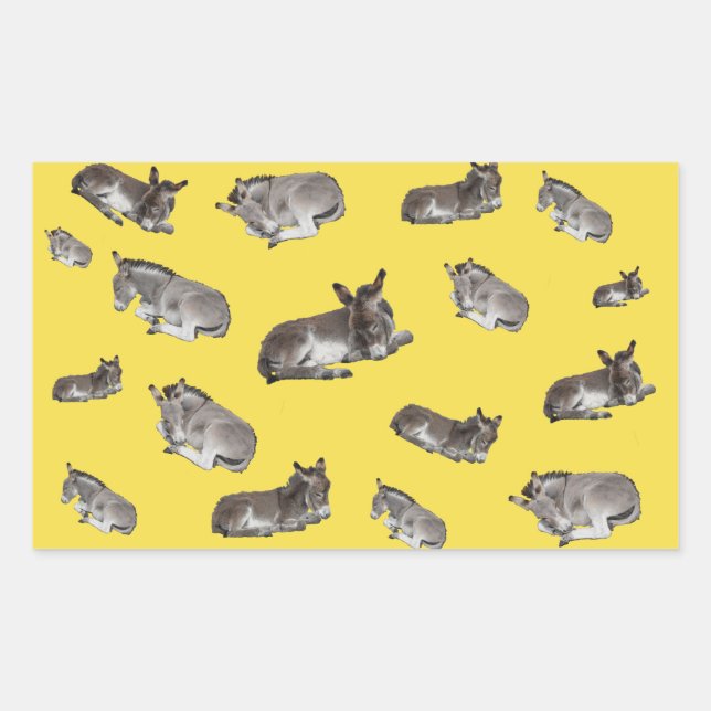 Donkey Multi Rectangular Sticker (Front)