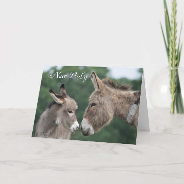 Donkey new baby card (Front)