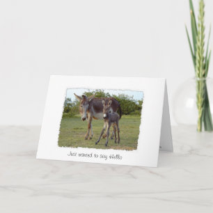 donkey new born card