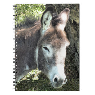 DONKEY NOTEBOOK