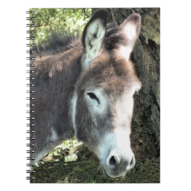 DONKEY NOTEBOOK (Front)
