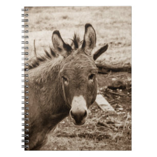 Donkey Notebook