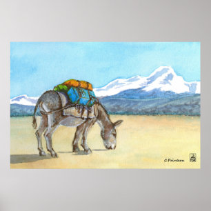 Donkey on High Plateau, South America Poster