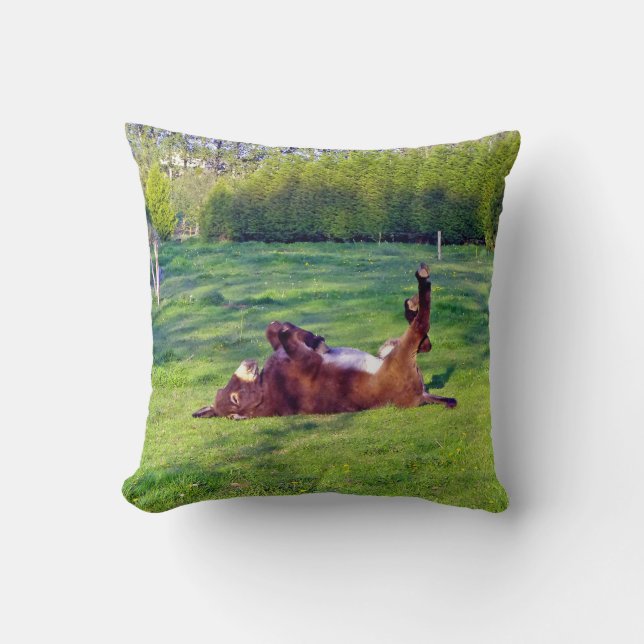 donkey on its back cushion (Front)