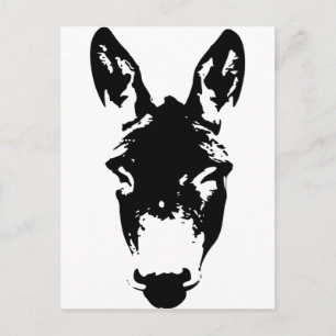 Donkey or Mule Graffiti Drawing Street Tag Art Postcard
