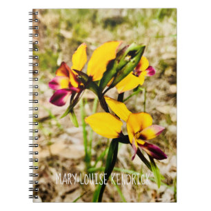 Donkey Orchids Notebook
