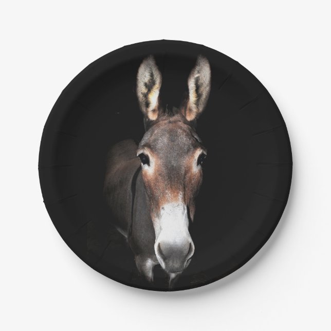 Donkey Paper Plate (Front)