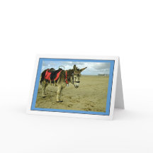 Donkey Photo Greetings Card