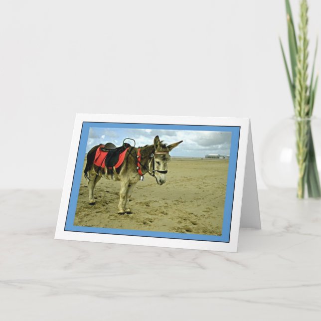 Donkey Photo Greetings Card (Front)